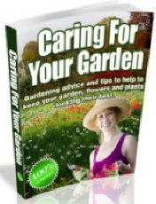 Looking after your Garden